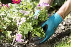 Gardena Plant- En Bodem Handschoen - Maat: M -Tuinwerk Verkoop 1200x799 41