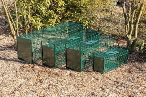 MaxxGarden Vangkooi Voor Dieren Van 60x18x20cm - Rattenval - Dubbele Ingang - Opvouwbaar -Tuinwerk Verkoop 1200x800 159