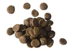 Knock Off Traktatie Pellets – Voor Muizen En Ratten – Lokaas Voor Muizen En Ratten – Lokmiddel – Gifvrij Muizenval – Veilig Voor Huisdieren – Voor Lokdoos – 50g -Tuinwerk Verkoop 1200x843 3