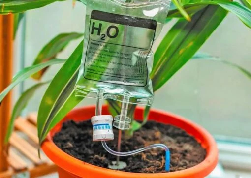 Plant Infuus H2o - Waterdruppelaar - Automatisch Bewateringssysteem Planten - Druppelirrigatie - Transparant - 350ml -Tuinwerk Verkoop