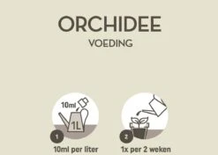 Pokon Orchidee Voeding - 250ml - Plantenvoeding - 10ml Per 1L Water -Tuinwerk Verkoop 1200x856