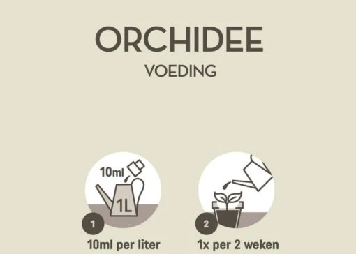 Pokon Orchidee Voeding - 250ml - Plantenvoeding - 10ml Per 1L Water -Tuinwerk Verkoop