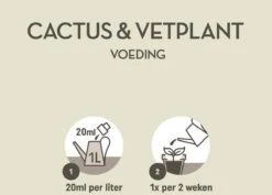 Pokon Cactus & Vetplant Voeding - 250ml - Plantenvoeding - 20ml Per 1L Water -Tuinwerk Verkoop 1200x858