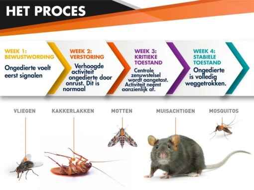 Hillar Ultrasone Muizenverjager - Diervriendelijke Ongedierte Verjager - Pest Reject - Ratten Bestrijden - Geluidloos - Wit -Tuinwerk Verkoop 1200x898 4