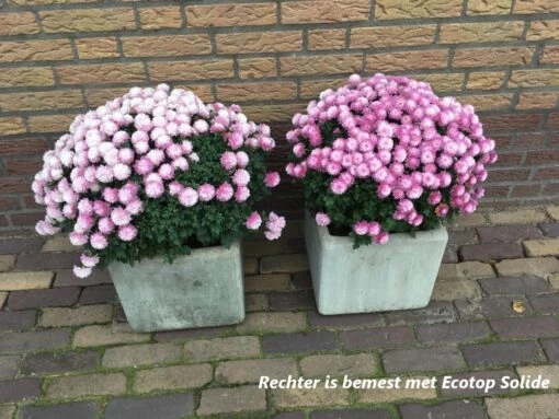 Ecotop Solide (Organisch / Tuinmest / Universeel). Meststof Op Basis Van Koemest Met Natuurlijke Toevoeging Van Wormenmest, Lavameel En Micro-organismen. Zak Ca. 40L. -Tuinwerk Verkoop 1200x900 2