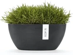 Ecopots | Sofia | Dark Grey | Binnenbloempot | 30 Cm | Ovaal -Tuinwerk Verkoop 1200x908 1