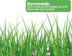 Merkloos Muizenval Diervriendelijk - Muizenvanger - Muizenval Voor Binnen En Buiten - Rattenval - Transparant -Tuinwerk Verkoop 1200x931 3