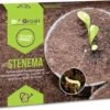 Stenema 100m² | Aaltjes Tegen Rouwvliegjes | Tegen Larven Van Rouwvliegen | Rouwvliegjes Bestrijden | Varenrouwmuggen | In Planten | 100% Natuurlijke Biologische Bestrijding -Tuinwerk Verkoop 1200x969 3