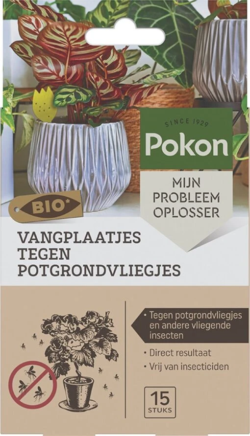 Pokon Bio Vangplaatjes Tegen Potgrondvliegjes - 15 Stuks - 1 Vangplaatje Per Plant - Vrij Van Pesticiden - Rouwvliegjes Bestrijden -Tuinwerk Verkoop 687x1200 3