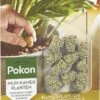 Pokon Kamerplanten Voedingskegels - 2x10st - Plantenvoeding - 6 Maanden Voeding -Tuinwerk Verkoop 699x1200 1