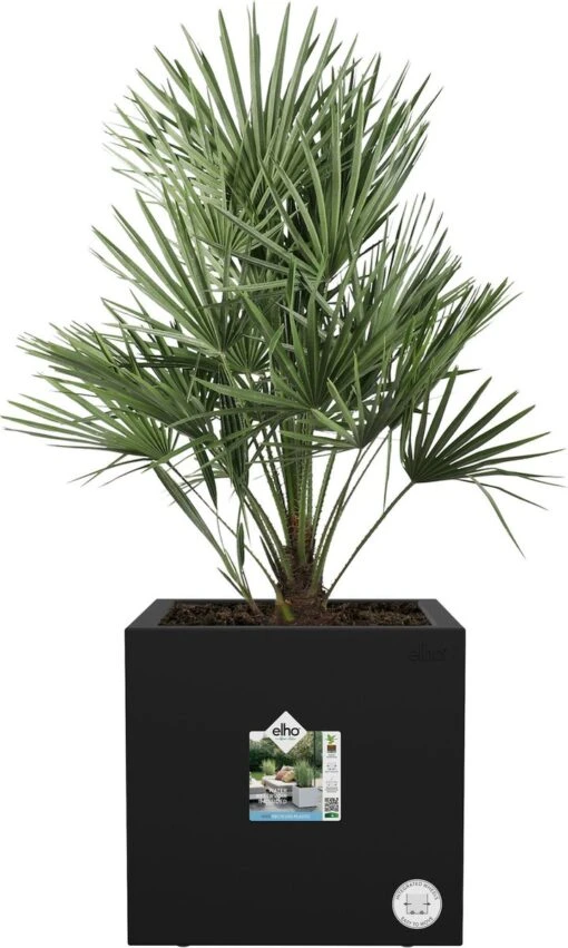 Elho Vivo Next Vierkant 40 - Plantenbak Voor Binnen & Buiten - Ø 39.0 X H 37.9 Cm - Zwart/Living Black -Tuinwerk Verkoop