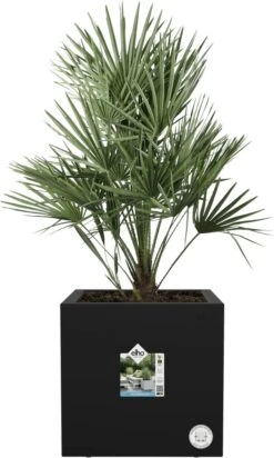 Elho Vivo Next Vierkant 40 - Plantenbak Voor Binnen & Buiten - Ø 39.0 X H 37.9 Cm - Zwart/Living Black -Tuinwerk Verkoop 720x1200