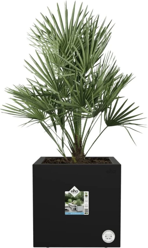 Elho Vivo Next Vierkant 40 - Plantenbak Voor Binnen & Buiten - Ø 39.0 X H 37.9 Cm - Zwart/Living Black -Tuinwerk Verkoop