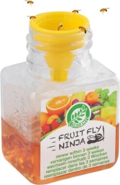 Super Ninja - Fruit Fly Ninja® - Fruitvliegjes Vanger - 100% Natuurlijk En Milieu Verantwoordelijk - 2 Pack -Tuinwerk Verkoop 785x1200 3