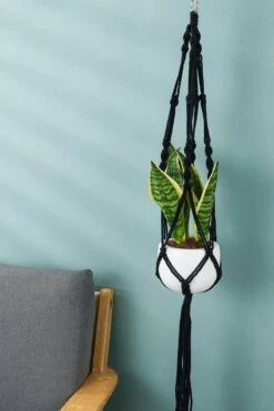 4 Stuks Zwarte Macrame Plantenhangers - Boho Handgeweven Katoen Hangpot Voor Binnen/Buiten - Hangende Bloempot Met Kralen - Macramé Touw/Koord Hangplant Houder - Bohemian Wandhanger Decoratie - Plant Hanger - Verticale Tuin Bloempothouder Planthanger -Tuinwerk Verkoop 800x1200 87