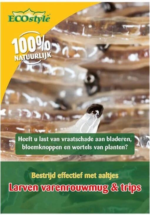 ECOstyle Aaltjes Tegen Rouwvliegjes (Varenrouwmug) - Bestrijdingsmiddel Insecten - Natuurlijk & Biologisch - Tegen Bladschade - Jaarrond Te Gebruiken - Werken 24 Uur Per Dag - Voor 25 Kamerplanten - 10 M² -Tuinwerk Verkoop 839x1200 3