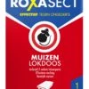 Roxasect Muizenlokdoos - Ongedierteval - 1 Stuks -Tuinwerk Verkoop 845x1200