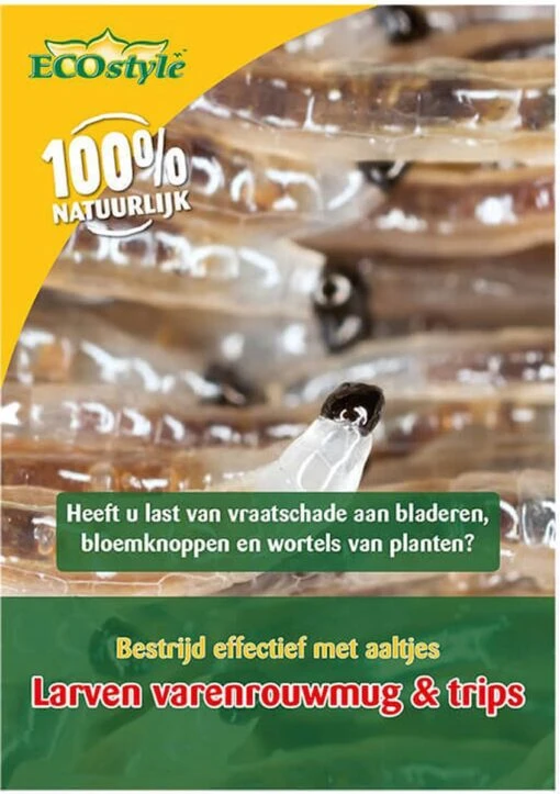 ECOstyle Aaltjes Tegen Larven Trips - Bestrijdingsmiddel Insecten - Natuurlijk & Biologisch - Tegen Bladschade - Vanaf 10 °C Omgevingstemperatuur - Werken 24 Uur Per Dag - Voor 25 Kamerplanten -Tuinwerk Verkoop