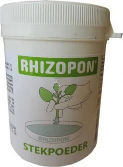 RHIZOPON CHRYZOTOP GROEN STEKPOEDER 0.25% 25 GRAM -Tuinwerk Verkoop 884x1200