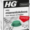 HG X Mierenlokdoos - 2 X 2 Stuks -Tuinwerk Verkoop 939x1200