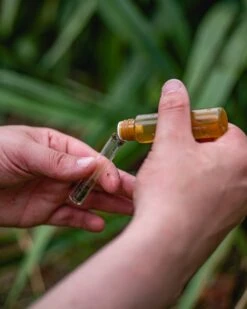 ECOstyle PH Bodemtest - Zuurtegraad Meter Voor Grond - Bepaal Kalk Behoefte Voor Tuin En Gazon - 8 Testen -Tuinwerk Verkoop 960x1200 8