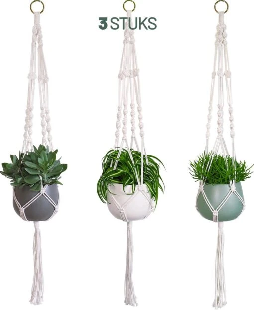 Gadgy Plantenhanger Macramé 3 Stuks - Luxe Gevlochten Touw Katoen - Plantenpot Ophangen - Hangpot -Tuinwerk Verkoop 981x1200 1