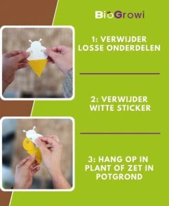 Biofixer - 10 Vangkaartjes - Rouwvliegjes Bestrijden - Varenrouwmug Bestrijden - Vangplaatjes Tegen Rouwvliegjes - Plakstrips - Vangplaten -Tuinwerk Verkoop 985x1200 3