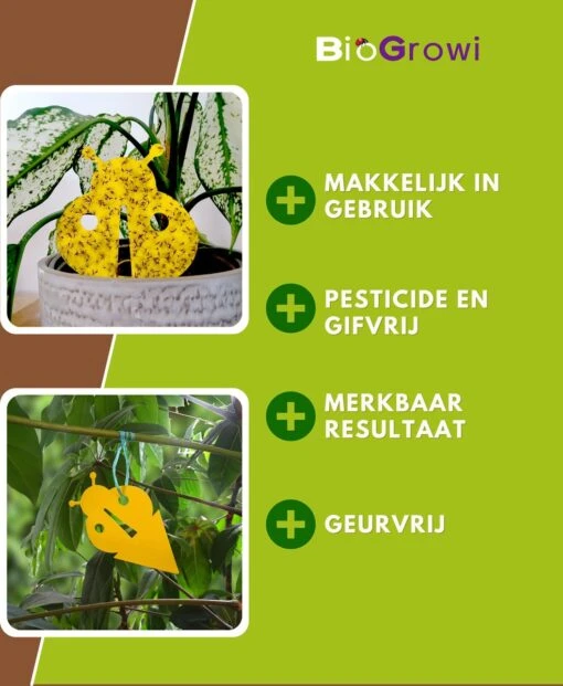 Biofixer - 10 Vangkaartjes - Rouwvliegjes Bestrijden - Varenrouwmug Bestrijden - Vangplaatjes Tegen Rouwvliegjes - Plakstrips - Vangplaten -Tuinwerk Verkoop 985x1200 4