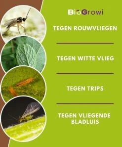 Biofixer - 10 Vangkaartjes - Rouwvliegjes Bestrijden - Varenrouwmug Bestrijden - Vangplaatjes Tegen Rouwvliegjes - Plakstrips - Vangplaten -Tuinwerk Verkoop 997x1200 1